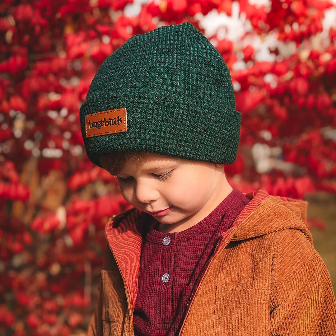 Pine and Berry | Knit Beanie