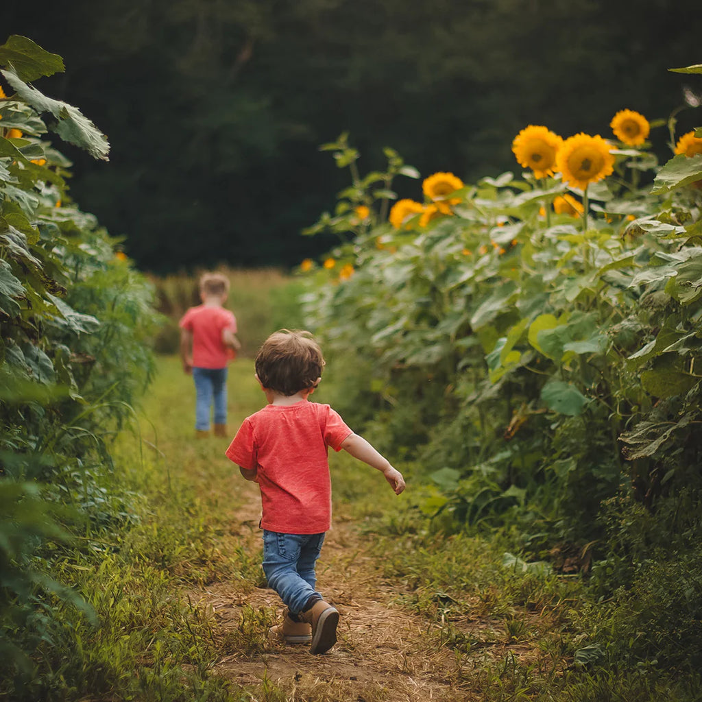 Pattern Tees | Bug & Bird